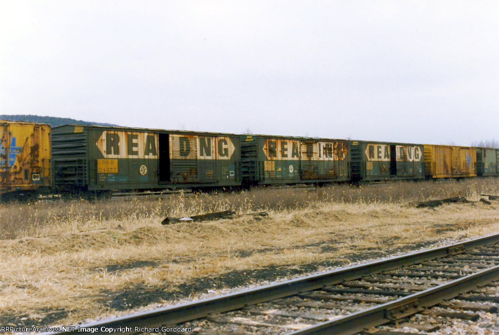 Ex Reading D&H box cars